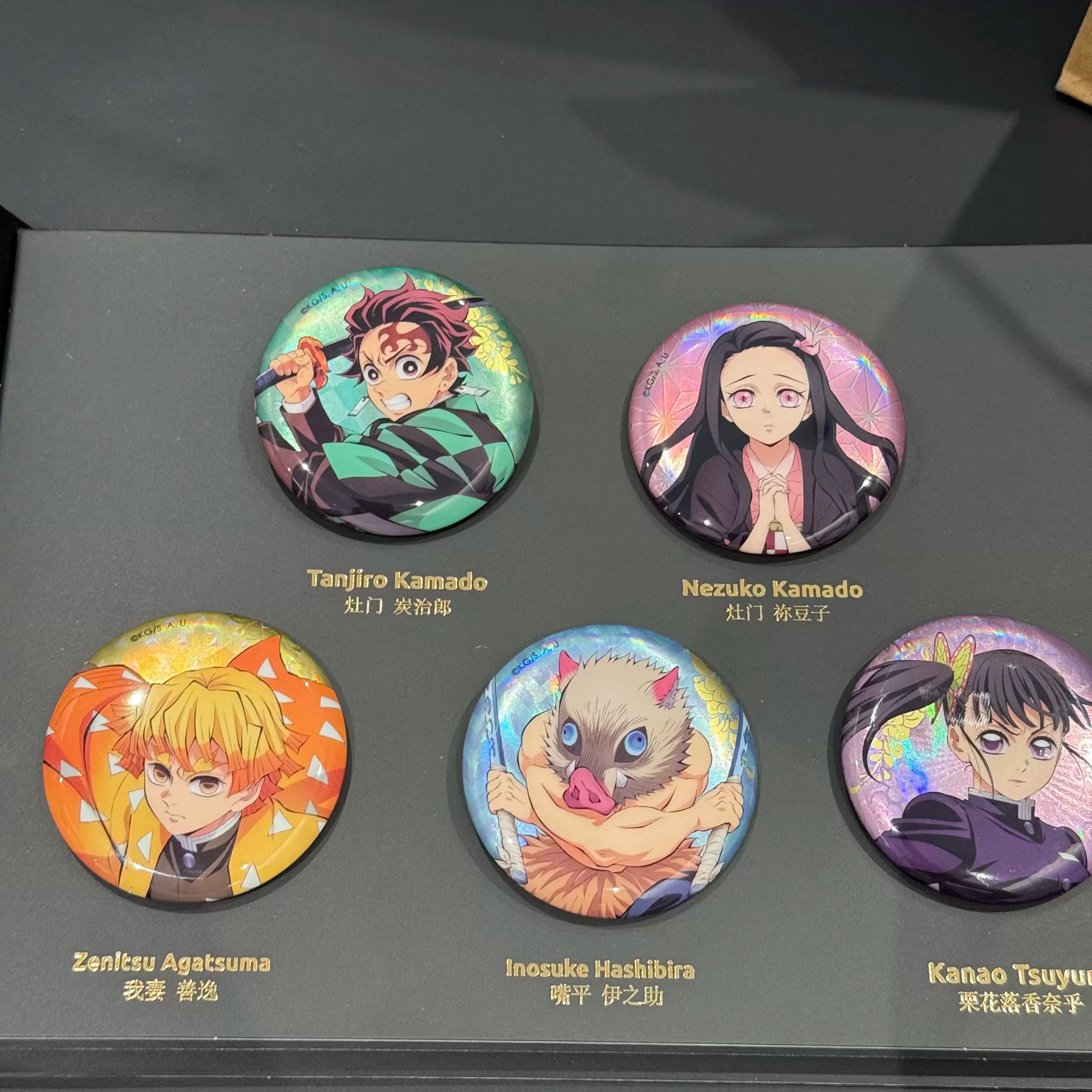Demon Slayer|Infinity Castle Arc Premium Pin Badge Set